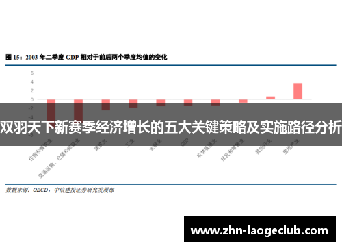 双羽天下新赛季经济增长的五大关键策略及实施路径分析