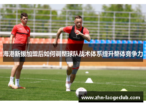 海港新援加盟后如何调整球队战术体系提升整体竞争力