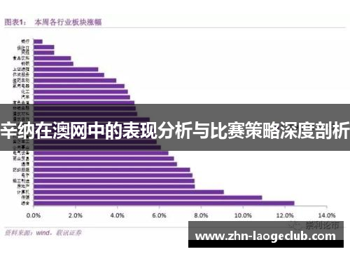 辛纳在澳网中的表现分析与比赛策略深度剖析 辛纳在澳网中的表现分析与比赛策略深度剖析