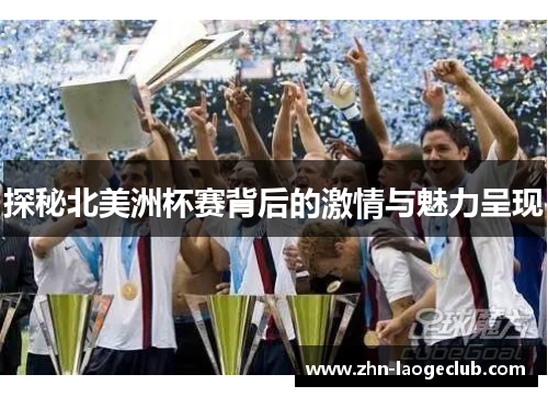 探秘北美洲杯赛背后的激情与魅力呈现